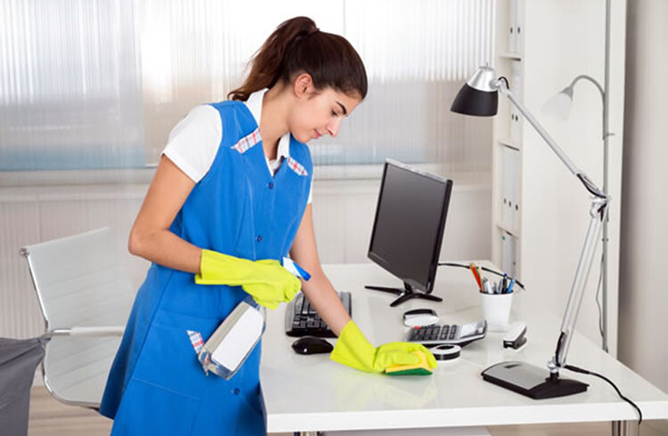 Lice Ofis Temizliği